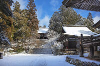 雪の神護寺　高雄 [MOP110102042]