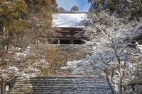 雪の神護寺　高雄 [MOP110102043]