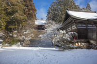 雪の神護寺　高雄 [MOP110102044]