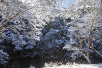 雪の清滝川　高雄 [MOP110102051]