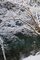 雪の清滝川　高雄 [MOP110102053]