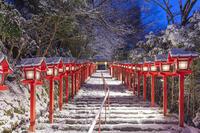 雪の貴船神社参道ライトアップ [MOP110102056]