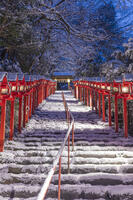 雪の貴船神社参道ライトアップ [MOP110102057]
