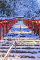 雪の貴船神社参道ライトアップ [MOP110102059]