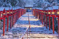 雪の貴船神社参道ライトアップ [MOP110102060]