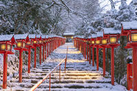 雪の貴船神社参道朝景 [MOP110102061]