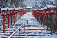 雪の貴船神社参道朝景 [MOP110102064]