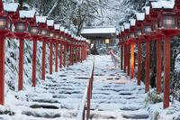 雪の貴船神社参道朝景 [MOP110102065]