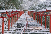 雪の貴船神社参道 [MOP110102067]
