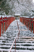 雪の貴船神社参道 [MOP110102068]