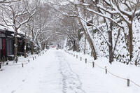雪の三千院参道　大原 [MOP110102073]