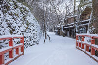 雪の未明橋と三千院参道　大原 [MOP110102075]