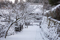 雪の勝林院　大原 [MOP110102077]