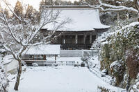 雪の勝林院　大原 [MOP110102078]