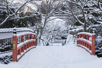 雪の未明橋と勝林院　大原 [MOP110102079]