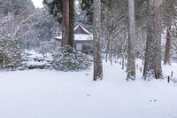 雪の三千院　有清園と往生極楽院　大原 [MOP110102081]