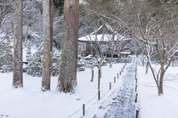 雪の三千院　有清園と往生極楽院　大原 [MOP110102083]