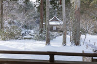 雪の三千院　有清園と往生極楽院　大原 [MOP110102085]