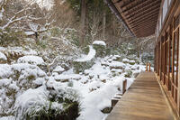 雪の三千院　聚碧園　大原 [MOP110102089]