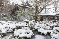 雪の三千院　聚碧園　大原 [MOP110102090]
