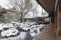 雪の三千院　聚碧園　大原 [MOP110102091]