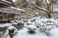 雪の三千院　聚碧園　大原 [MOP110102093]