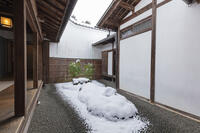 雪の三千院　中庭　大原 [MOP110102094]