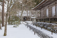 雪の三千院　有清園　往生極楽院と宸殿　大原 [MOP110102098]