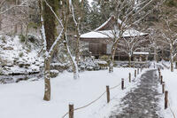 雪の三千院　有清園　往生極楽院　大原 [MOP110102099]