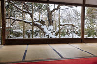 雪の宝泉院庭園　大原 [MOP110102100]