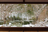 雪の宝泉院庭園　大原 [MOP110102101]