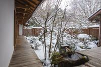 雪の宝泉院庭園　大原 [MOP110102104]