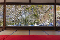 雪の宝泉院庭園　大原 [MOP110102106]