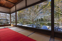 雪の宝泉院庭園　大原 [MOP110102108]