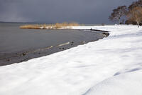 雪の琵琶湖　外ヶ浜 [MOP110102111]