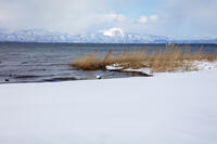 雪の琵琶湖　外ヶ浜より伊吹山 [MOP110102113]