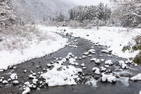 雪の安曇川 [MOP110102118]