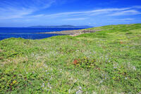 牧崎風の公園　角島 [MOP110103326]