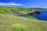 牧崎風の公園　角島 [MOP110103327]