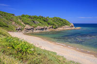 ハマユウ咲く夏井ヶ浜 [MOP110103348]