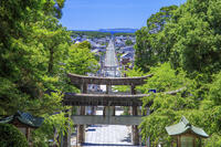 宮地嶽神社　参道 [MOP110103354]