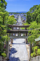 宮地嶽神社　参道 [MOP110103355]