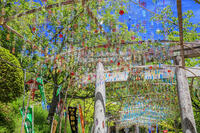 宮地嶽神社　風凛まつり [MOP110103360]