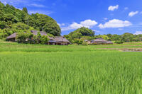 八塔寺ふるさと村 [MOP110103402]