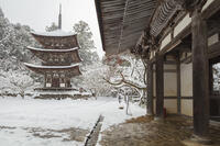 雪の西明寺　二天門と三重塔　湖東三山 [MOP110104298]
