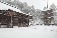 雪の西明寺　本堂と三重塔　湖東三山 [MOP110104299]