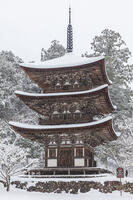 雪の西明寺　三重塔　湖東三山 [MOP110104300]