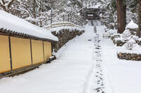 雪の西明寺　参道と二天門　湖東三山 [MOP110104303]