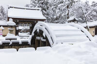 雪の多賀大社 [MOP110104305]