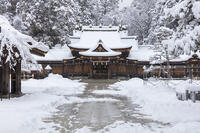 雪の多賀大社 [MOP110104306]